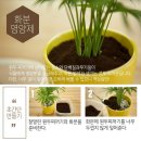 나눔커피