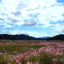 상미농장 이미지