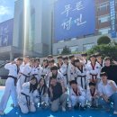 고일태권도 이미지