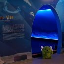 국립해양박물관 이미지