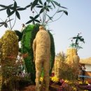 대한건강백화점 이미지