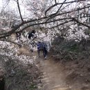 원동역 티스토리