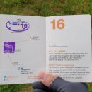 제주 올레길 16코스 이미지