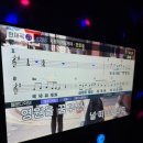 화이트노래타운