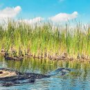 정복농장 이미지