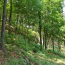 여울목수변공원 이미지