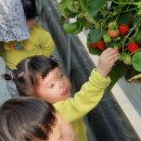 꼬꼬마어린이집 이미지