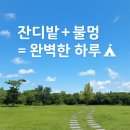 솔밭사이로 | 충주 목계솔밭 캠핑장 A28 대형사이트 후기 🏕 가족이 좋아하는 잔디 캠핑