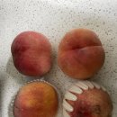 황도축산 이미지