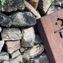 로컬유등스테이 이미지