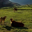 구로-구로-구로-2857 이미지