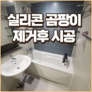 씨유 영천미소지움 2차점 | 영천 욕실 실리콘 곰팡이, 제거 후 재 시공