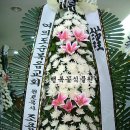 조은꽃식물원 이미지