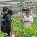 충현농장 이미지