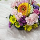 대구고산초등학교 이미지