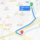 내돈내산 의정부탑석역화원후기| 의정부 만가대사거리 가성비 화원 꽃다지(ft. 올리브나무와 다육이)