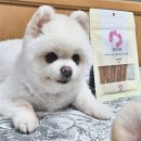 셀러고메즈 | 강아지수제간식 추천 제리쿡 마약스틱 노견도 반한 바삭한 강아지간식 후기