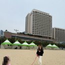 강아지 호텔 이미지