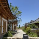 두꺼비상점 | 경주 2박3일 여행코스 (1) | 황남두꺼비식당•루루상점•테라로사•월정교•투썸경주감포항점•황남...