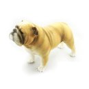 말랑말랑 이미지