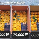 천금농장 네이버블로그
