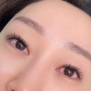 울산 속눈썹 연장 후기 :: 샤인드뷰티
