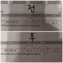 스파엘샤다이 하당점 네이버블로그