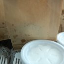 마피아커피 앤 봉구스밥버거산하점 | (울산 강동 산하동 봉구커피 크로플) 배민 빵순이의 일상