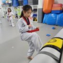 경희대청룡태권도 | 우리 아이 경희대운남태권도 다녀요~