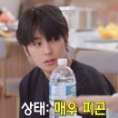 더테라피전통안마지압원 | 피로야 가라! 뭉친 몸을 떨쳐내자｜부산 양정마사지 「더테라피전통지압원」