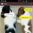 공감 이미지