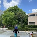 명달근린공원 이미지