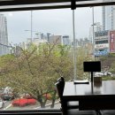 홍유단 | 장산역 맛집 홍유단 점심 런치 코스 솔직후기 주차