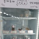 원애견&뭉까두까 이미지