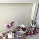 석삼말로2 이미지