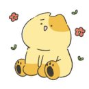 라파힐링테라피
