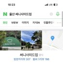 써니사이드업
