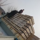 송가네농장 이미지