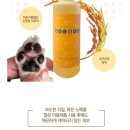 유지네 애견미용샵 | 부산 동래 애견미용샵 , 부산 강아지 미용 로운이네살롱 방문 후기!!