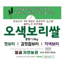 국내산 영종도 직접 농사지은 오색 햅보리쌀 이미지