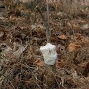 매내골 농장 이미지