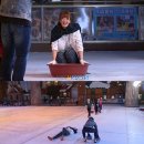 죽방전설 이미지