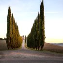 봉우농장 이미지