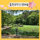 공작산생태숲 이미지