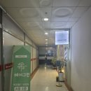 그린프라자 | 장산역미용실 리안원장 헤어그린 클리닉