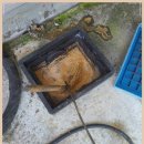 중앙로1가 이미지