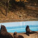 달성공원 이미지