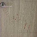 하리네집 이미지