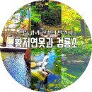두문동터널 앞 | 낙동강과 한강의 발원지 황지연못, 검룡소 전설과 가는방법, 그리고 솔직 후기