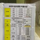 쭌스크린골프존 | [안양] 코리아스크린골프 - 서울 근교 안양 광명 인도어 야외스크린 다녀온 후기